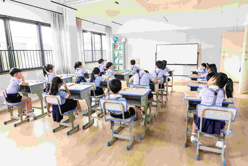 威海少兒培訓(xùn)與教育信息咨詢服務(wù)全解析